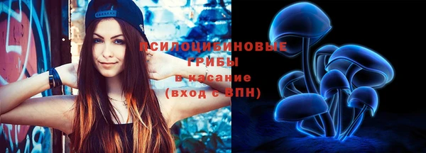 дживик Белоозёрский