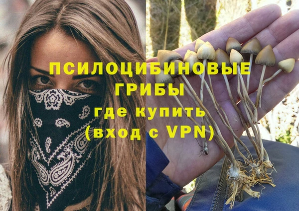 дживик Белоозёрский