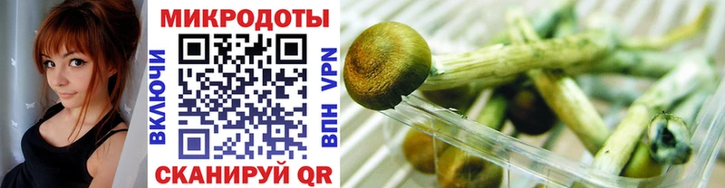 Галлюциногенные грибы мухоморы  Бутурлиновка 